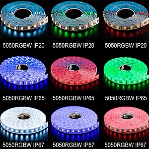 Custom Waterproof IP20 IP65 IP67 Smart RGBW LED Strip Lights